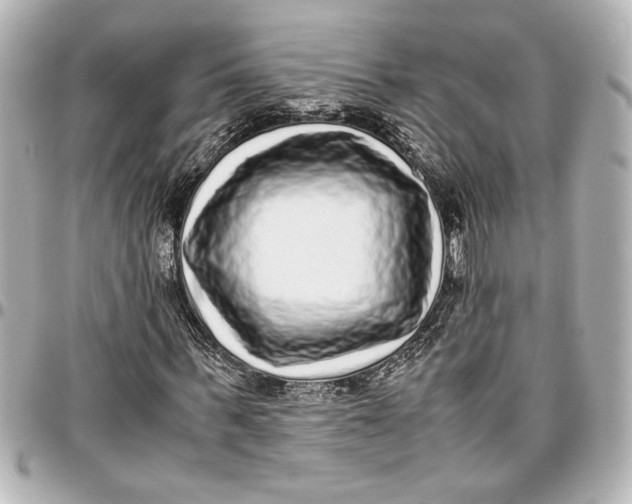 X0000096730963200802261449