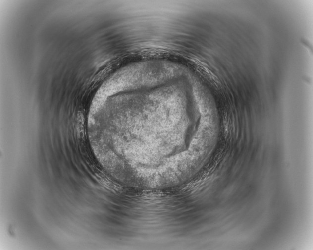 X0000096730964200802261449