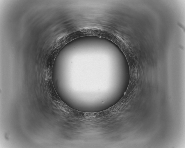 X0000096730965200802261449