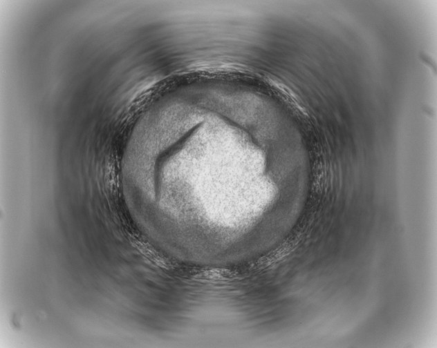 X0000096730966200802261449