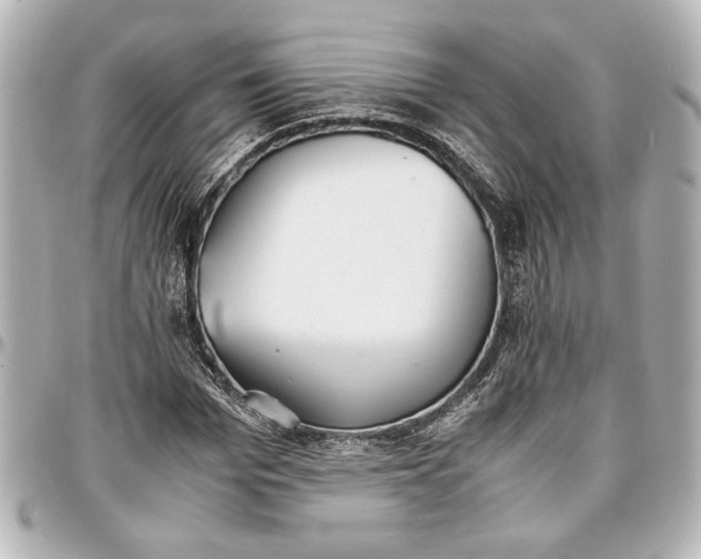 X0000096730969200802261449