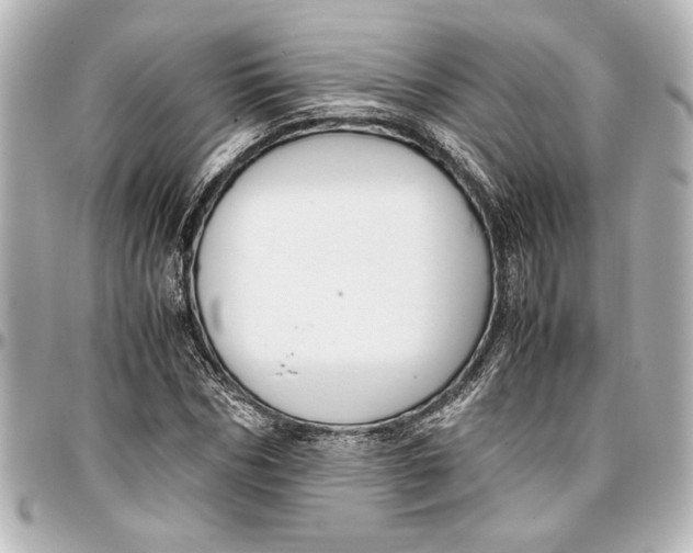 X0000096730970200802261449