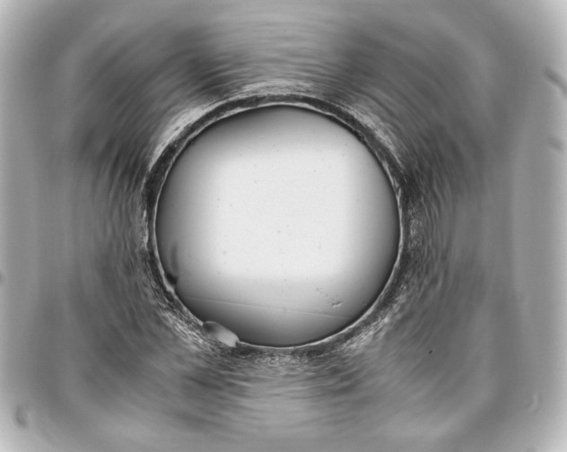 X0000096730973200802261449