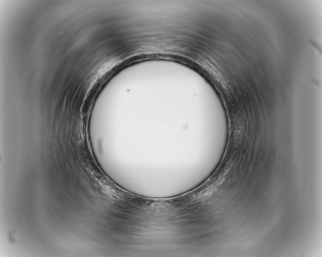 X0000096730974200802261449