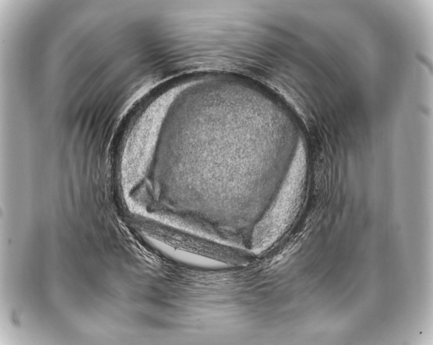 X0000096730975200802261449