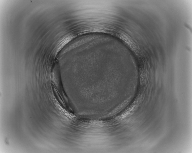 X0000096730977200802261449