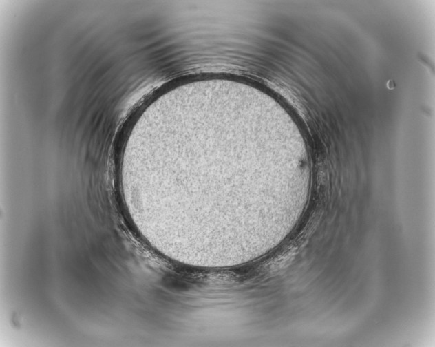 X0000096730979200802261449