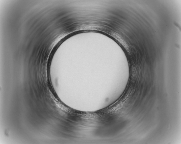 X0000096730980200802261449