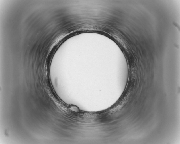 X0000096730981200802261449