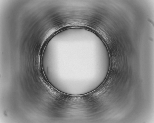 X0000096730982200802261449