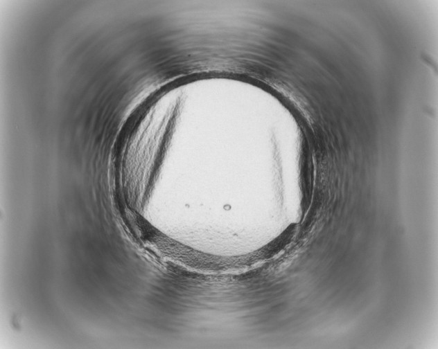 X0000096730983200802261449