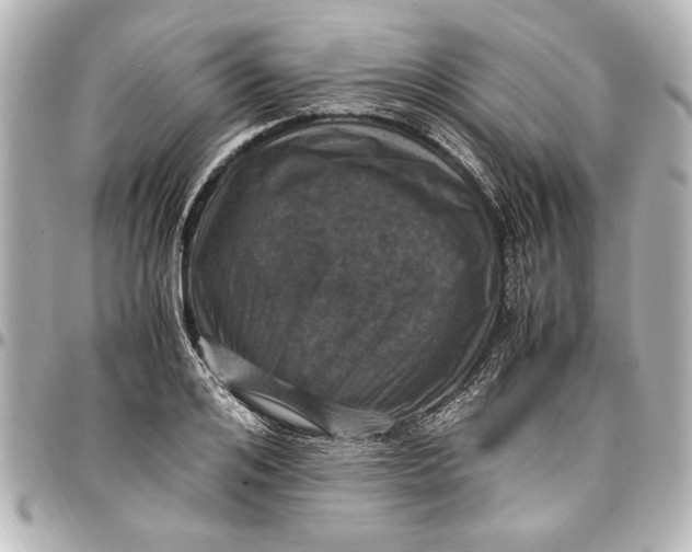 X0000096730984200802261449