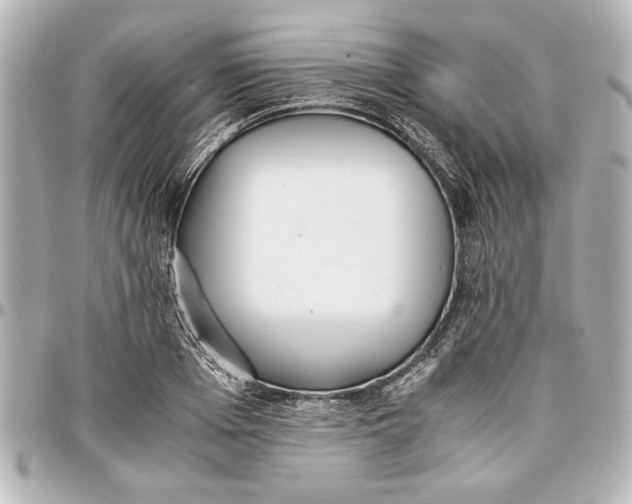 X0000096730985200802261449