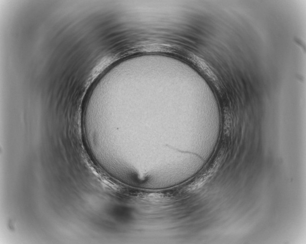 X0000096730986200802261449