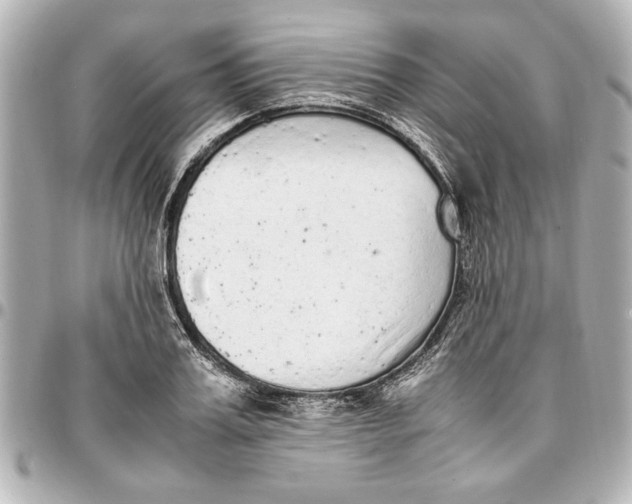 X0000096730987200802261449