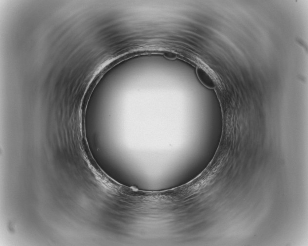 X0000096730988200802261449