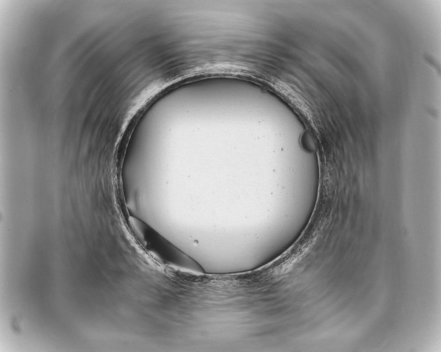 X0000096730989200802261449