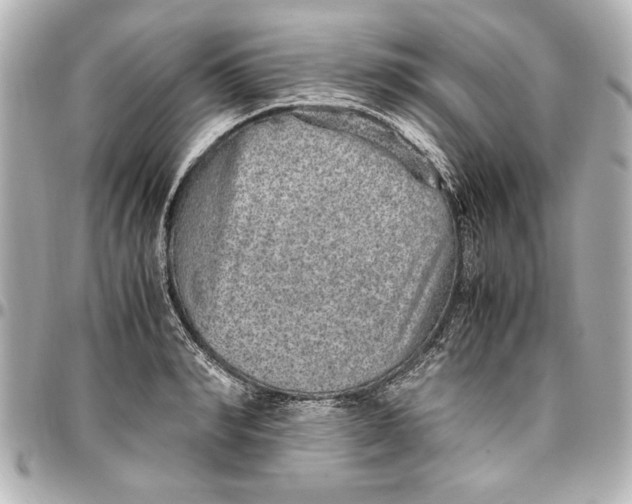 X0000096730990200802261449