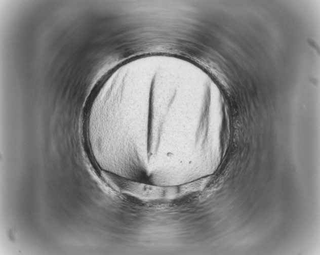 X0000096730991200802261449