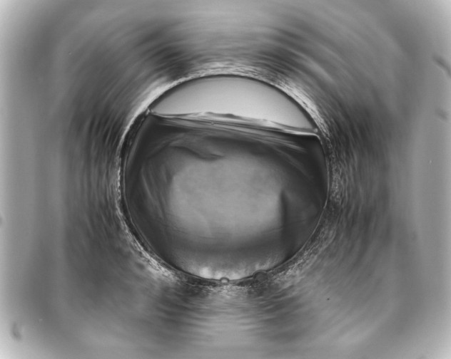 X0000096730992200802261449