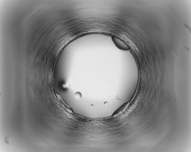 X0000096730993200802261449