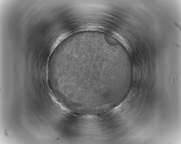 X0000096730994200802261449