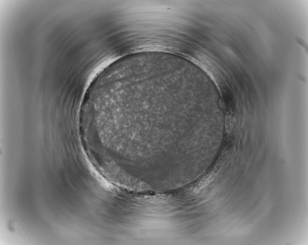 X0000096730995200802261449