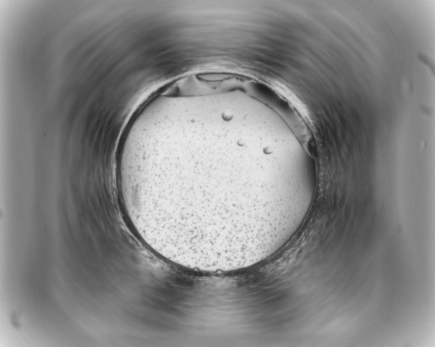 X0000096730996200802261449