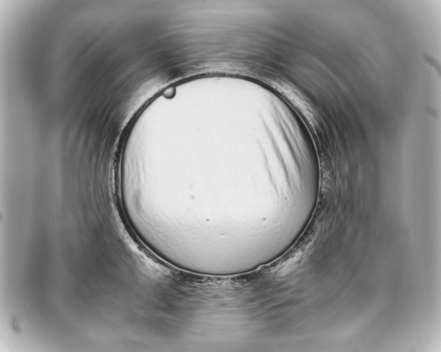 X0000096730999200802261449