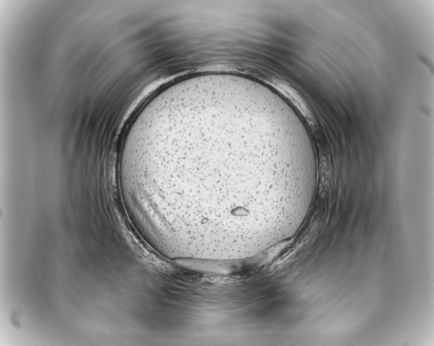 X0000096731000200802261449