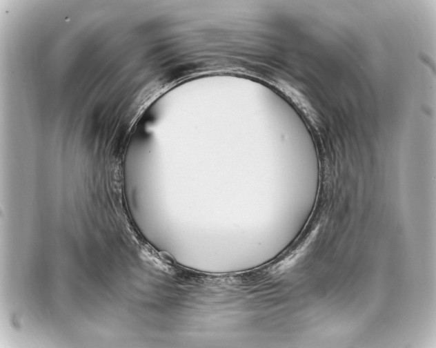 X0000096731001200802261449