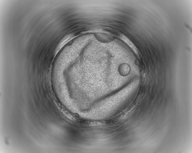 X0000096731002200802261449