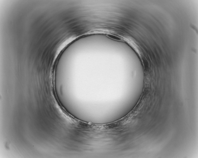 X0000096731003200802261449