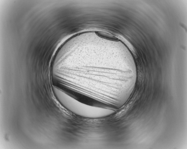 X0000096731004200802261448