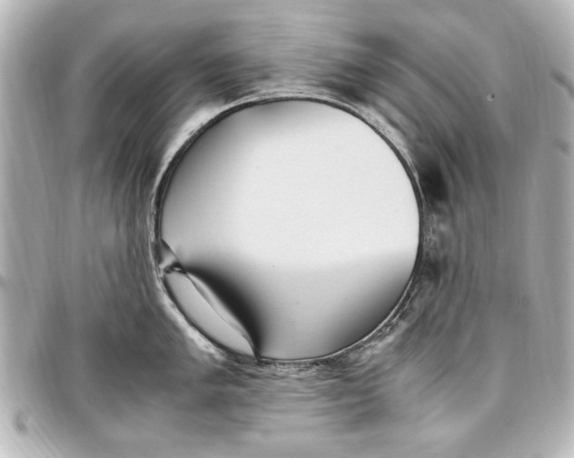 X0000096731005200802261448