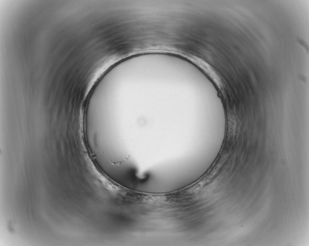 X0000096731006200802261448