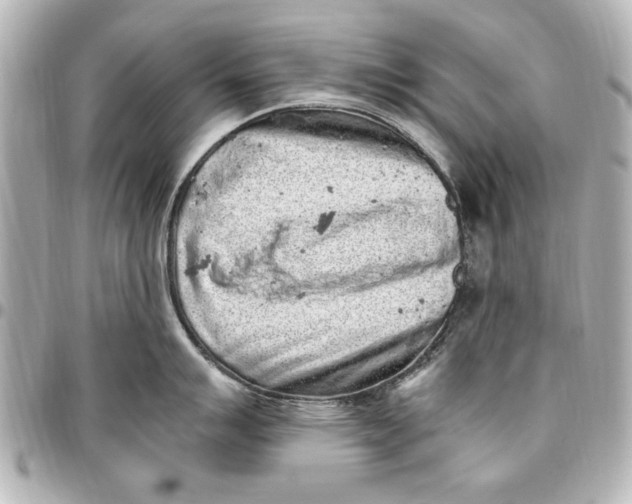 X0000096731007200802261448