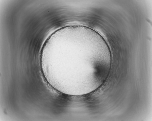 X0000096731008200802261448