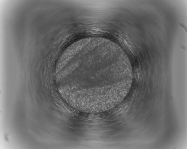 X0000096731009200802261447