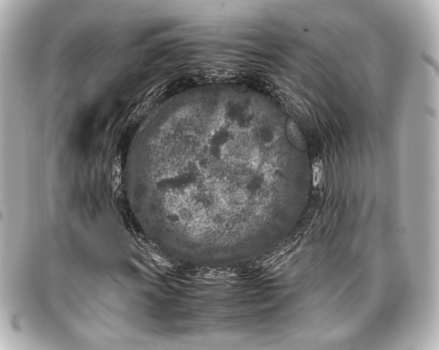 X0000096731011200802261448