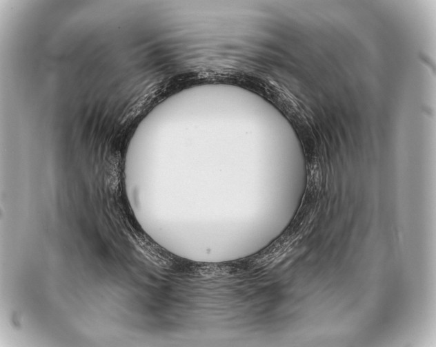 X0000096731012200802261448