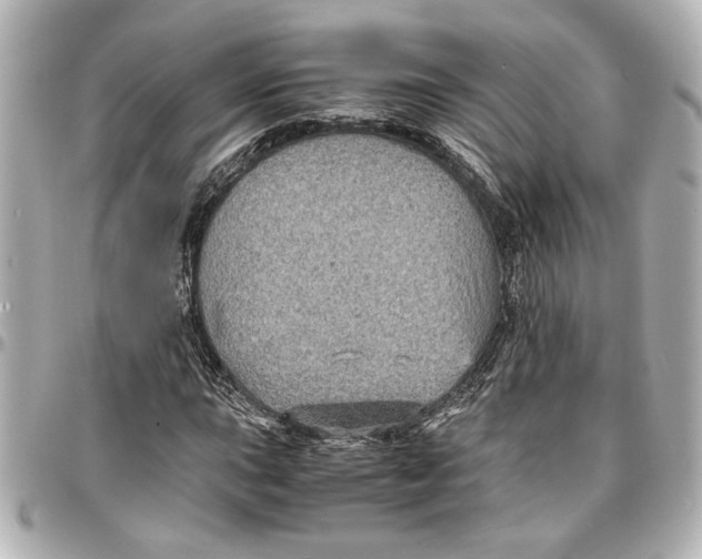 X0000096731015200802261448