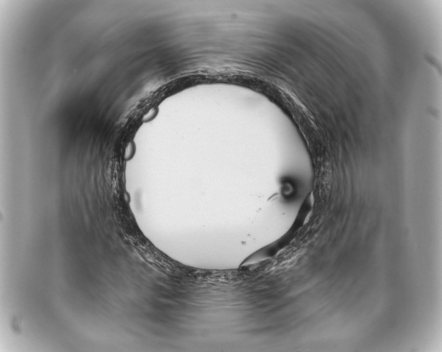 X0000096731016200802261448