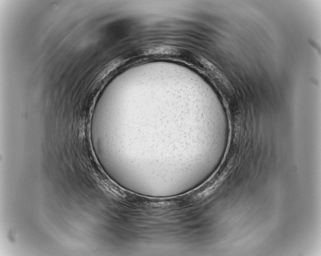 X0000096731017200802261448