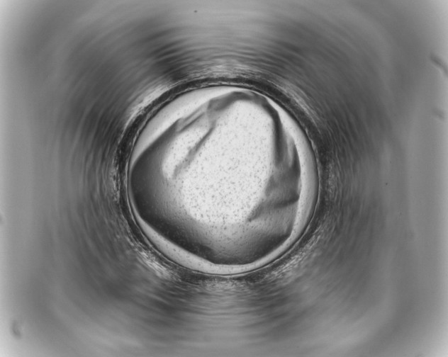 X0000096731018200802261448