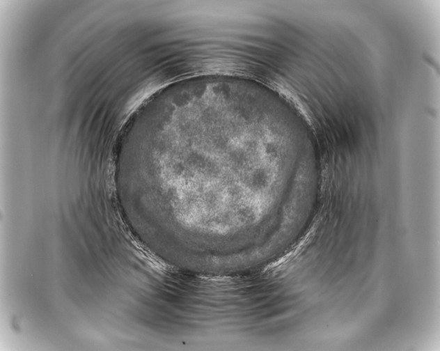 X0000096731019200802261448