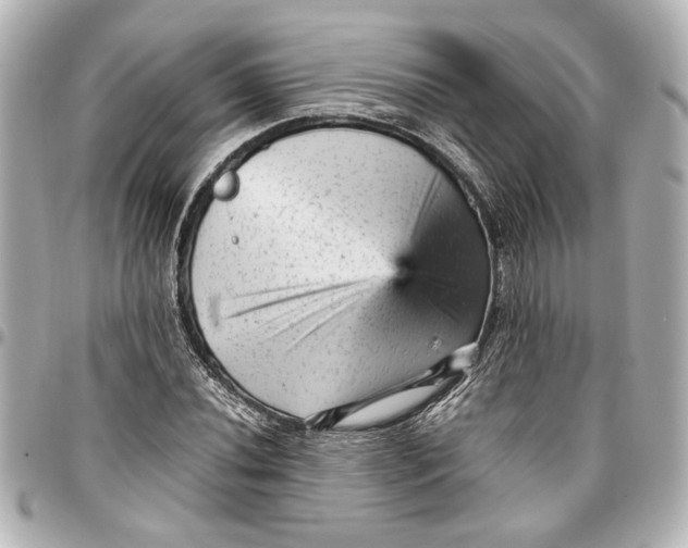 X0000096731020200802261448