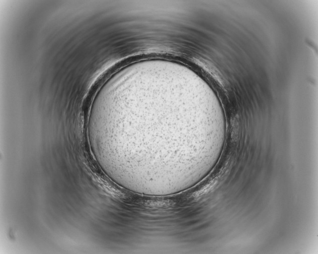 X0000096731021200802261448