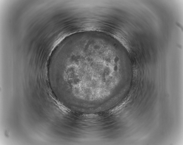 X0000096731023200802261448