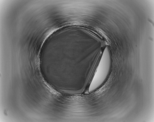 X0000096731024200802261448